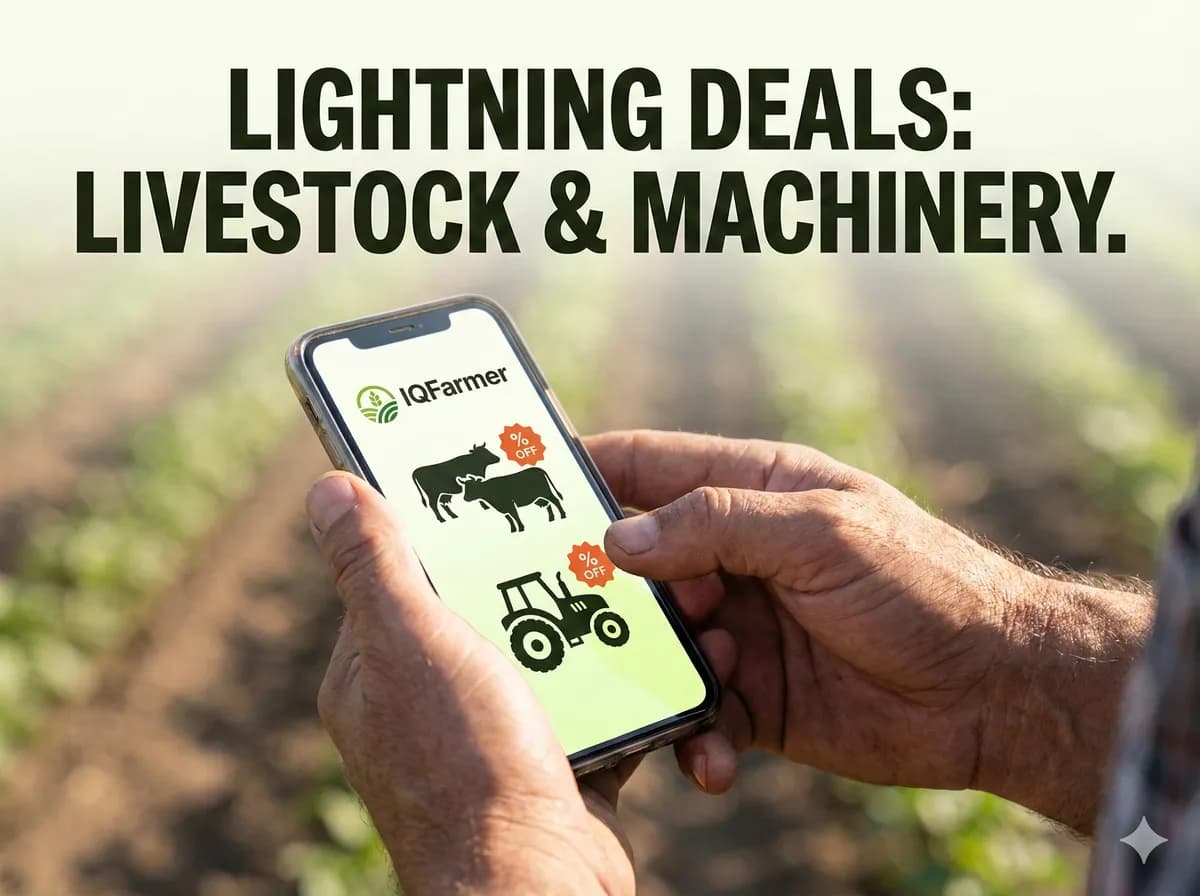 Lightning deals on livestock and machinery